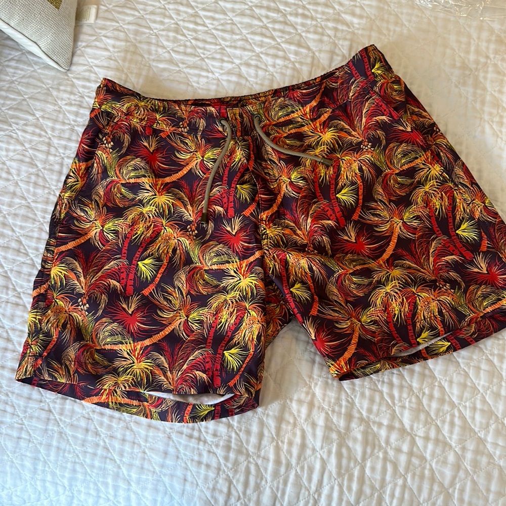 Thorsun BRAND NEW Swim Shorts